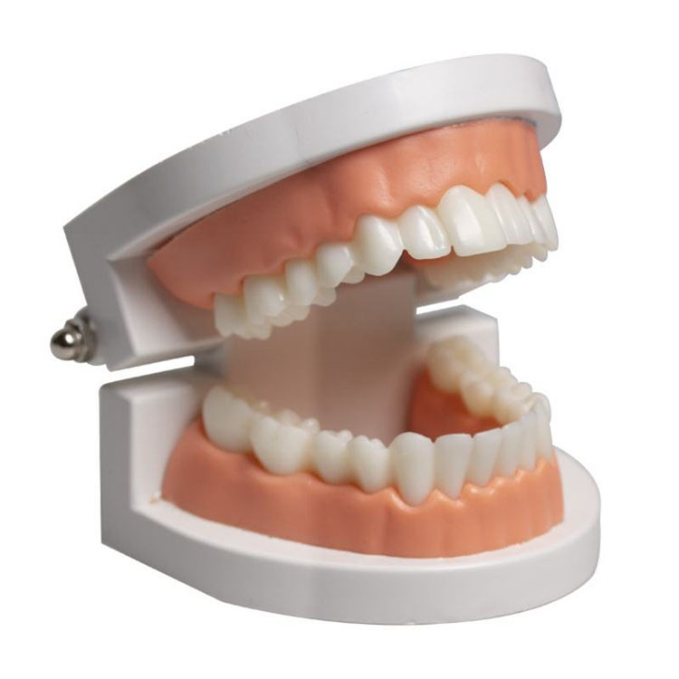 Can Layered E.max Veneers Truly Replace Feldspathic Veneers? 1 Can Layered E.max Veneers Truly Replace Feldspathic Veneers