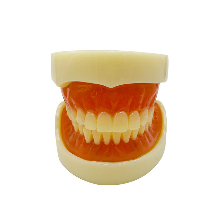 How Should Anterior and Posterior Materials Be Coordinated in Full-Mouth Rehabilitation