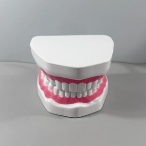 Why Success in Esthetic Anterior Restorations Depends More on Teamwork Than on Technique Alone