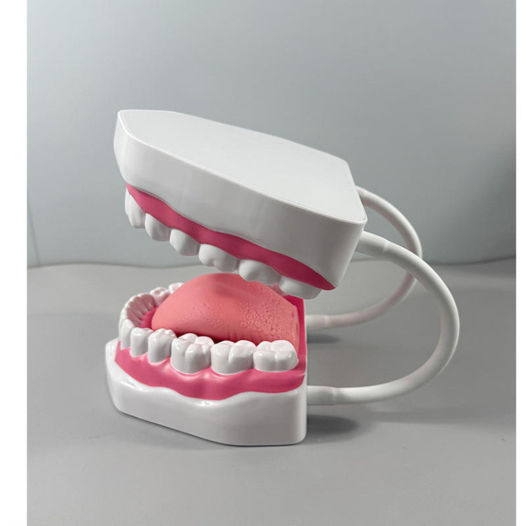 Why Success in Esthetic Anterior Restorations Depends More on Teamwork Than on Technique Alone 2 Why Success in Esthetic Anterior Restorations Depends More on Teamwork Than on Technique Alone